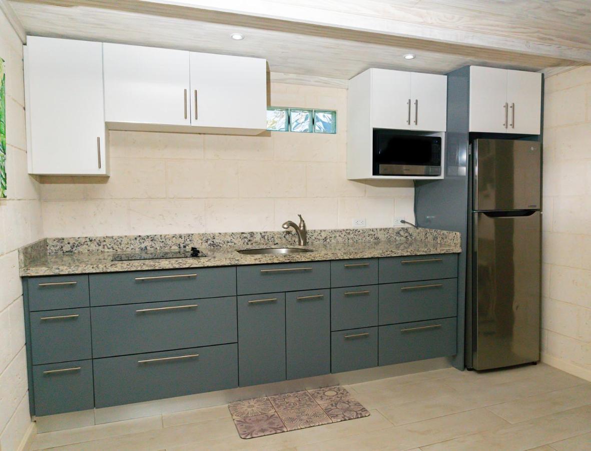 Banyan Beach House Villa Μπριτζτάουν Εξωτερικό φωτογραφία